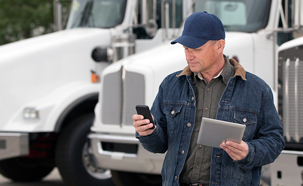 An employee examining environmental condition monitoring data from Bell’s asset tracking solution.